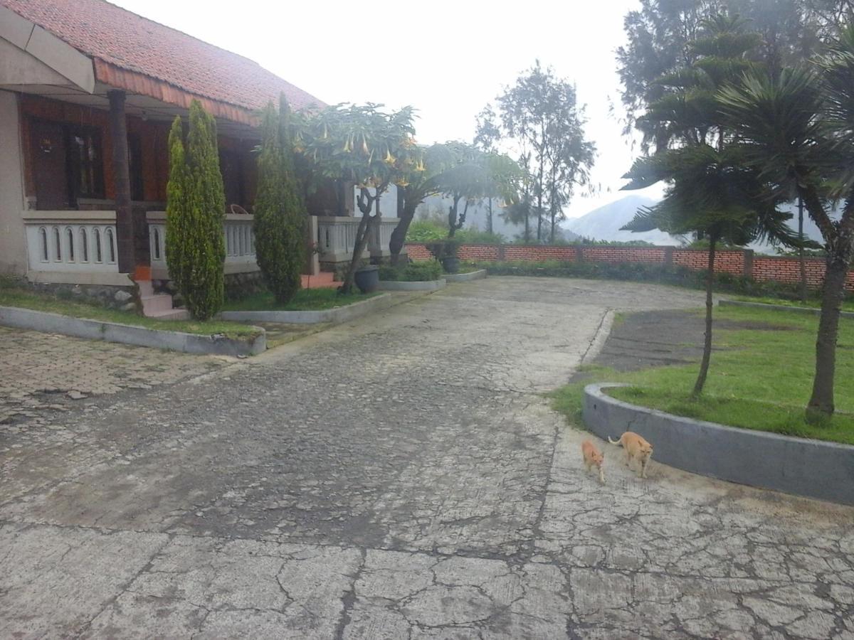 Cemara Indah Hotel Bromo Esterno foto