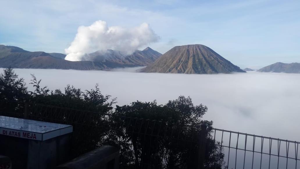 Cemara Indah Hotel Bromo Esterno foto